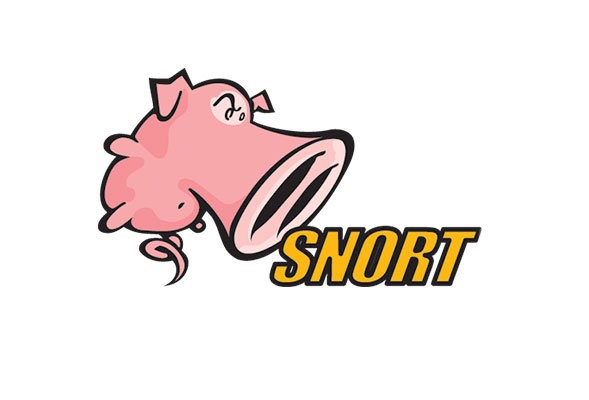 Snort - şəbəkə sistemi