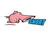 Snort - şəbəkə sistemi