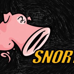 Researchers Detail Bug That Could Paralyze Snort Intrusion Detection System